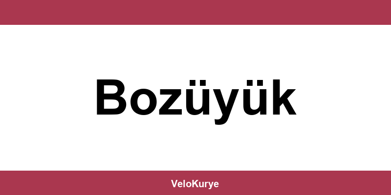 Kuryenet Bozüyük şubesi iletişim bilgileri