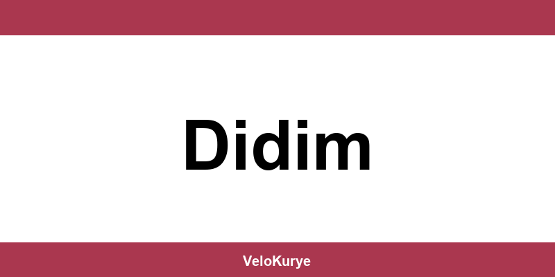 Kuryenet Didim şubesi iletişim bilgileri