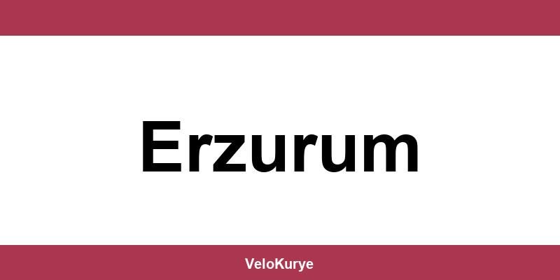 Kuryenet Erzurum şubesi iletişim bilgileri