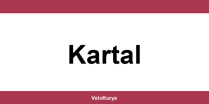 Kuryenet Kartal şubesi iletişim bilgileri