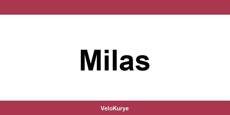 Kuryenet Milas şubesi iletişim bilgileri