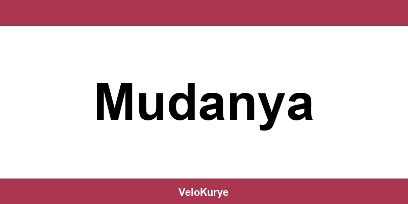 Kuryenet Mudanya şubesi iletişim bilgileri