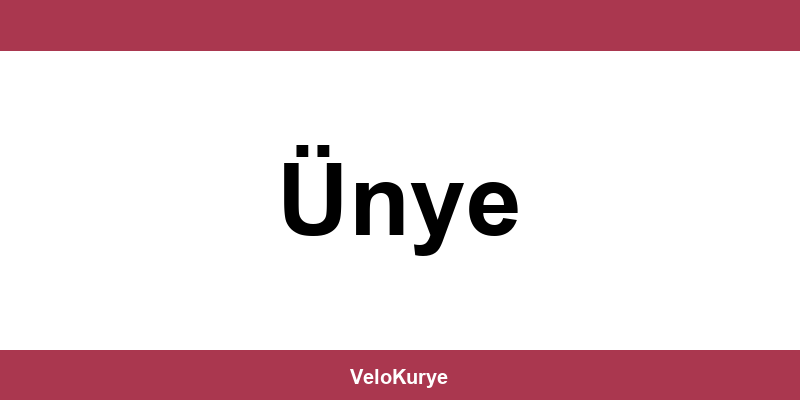 Kuryenet Ünye şubesi iletişim bilgileri