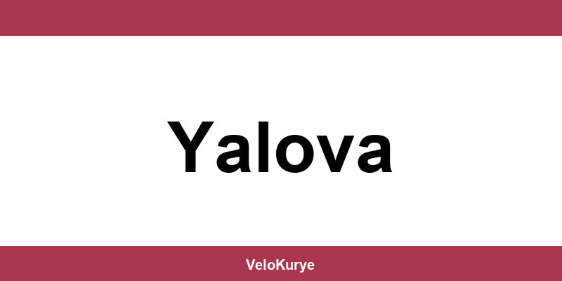 Kuryenet Yalova şubesi iletişim bilgileri