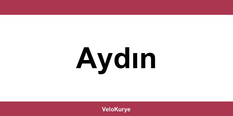 Kuryenet Aydın şubesi iletişim bilgileri