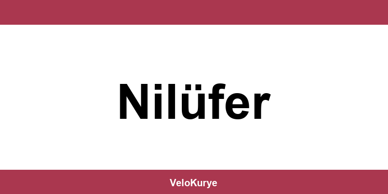 Kuryenet Nilüfer şubesi iletişim bilgileri