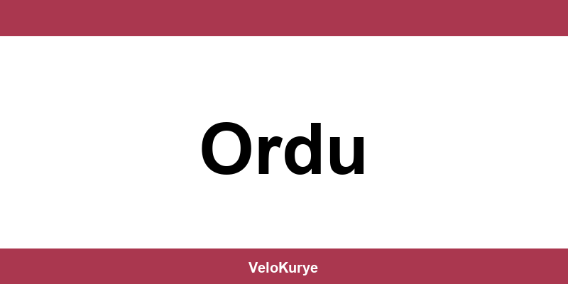 Kuryenet Ordu şubesi iletişim bilgileri